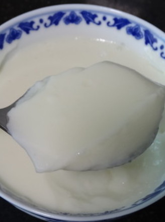 双皮奶做法2