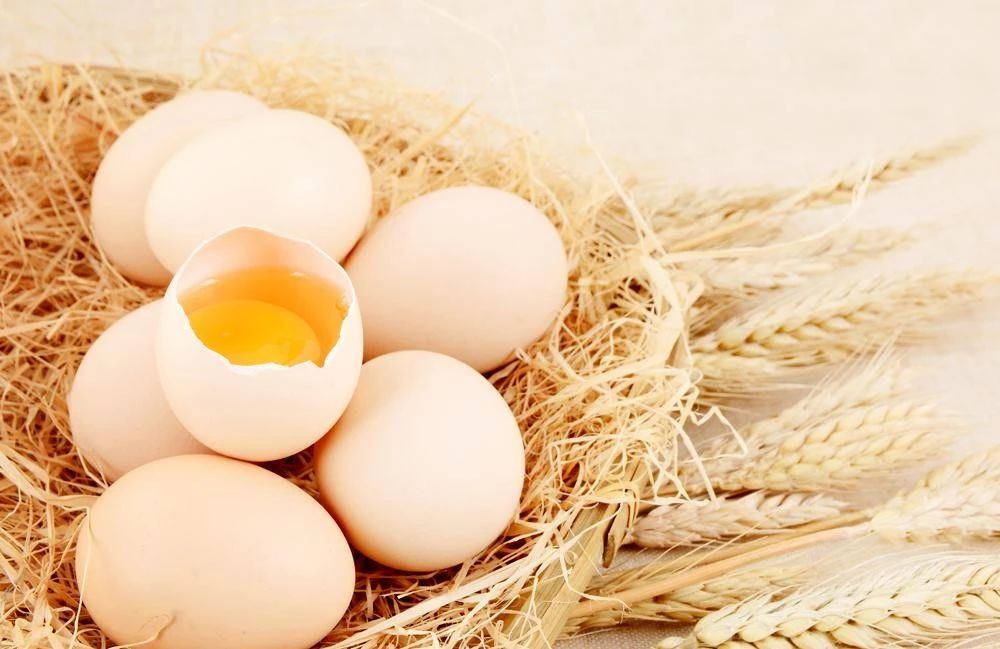 生活小实验：新鲜鸡蛋的分辨 让您的孩子也试试吧